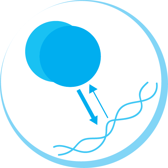 Affinity Logo