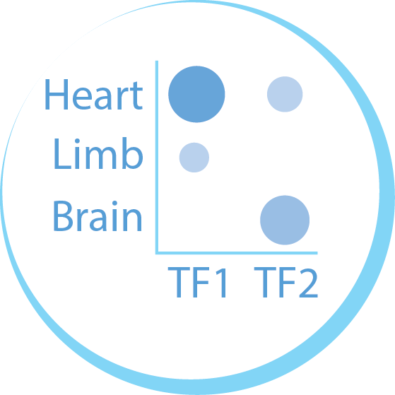 Single-Cell Logo